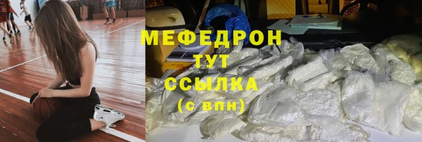 сатива Бородино