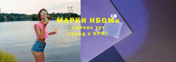 сатива Бородино