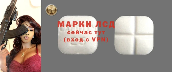 сатива Бородино