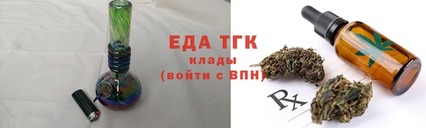 сатива Бородино