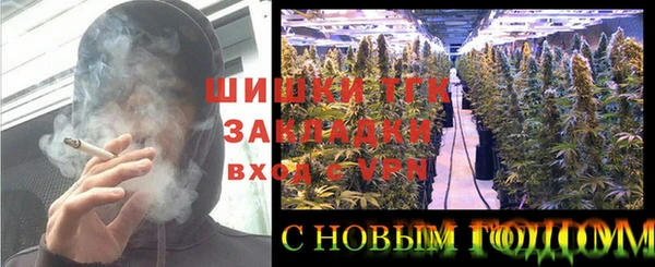 сатива Бородино