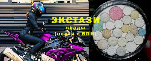 сатива Бородино