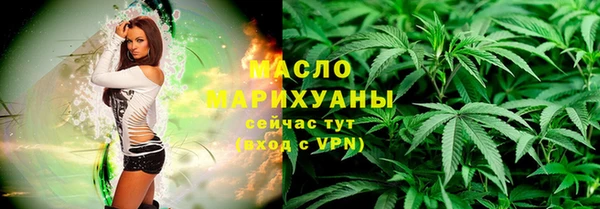 сатива Бородино