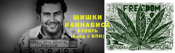 сатива Бородино