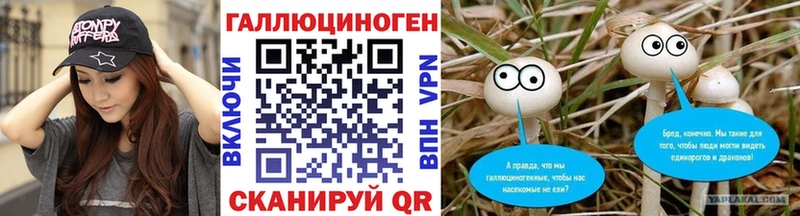 сайты даркнета наркотические препараты  Будённовск  Псилоцибиновые грибы Psilocybe 